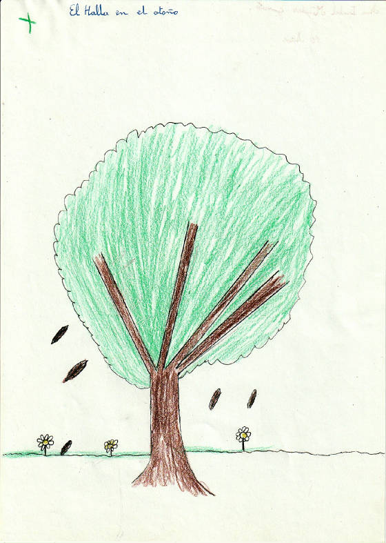 dibujos-de-ramas-hojas-y-flores-naturaleza-plasmada-en-papel