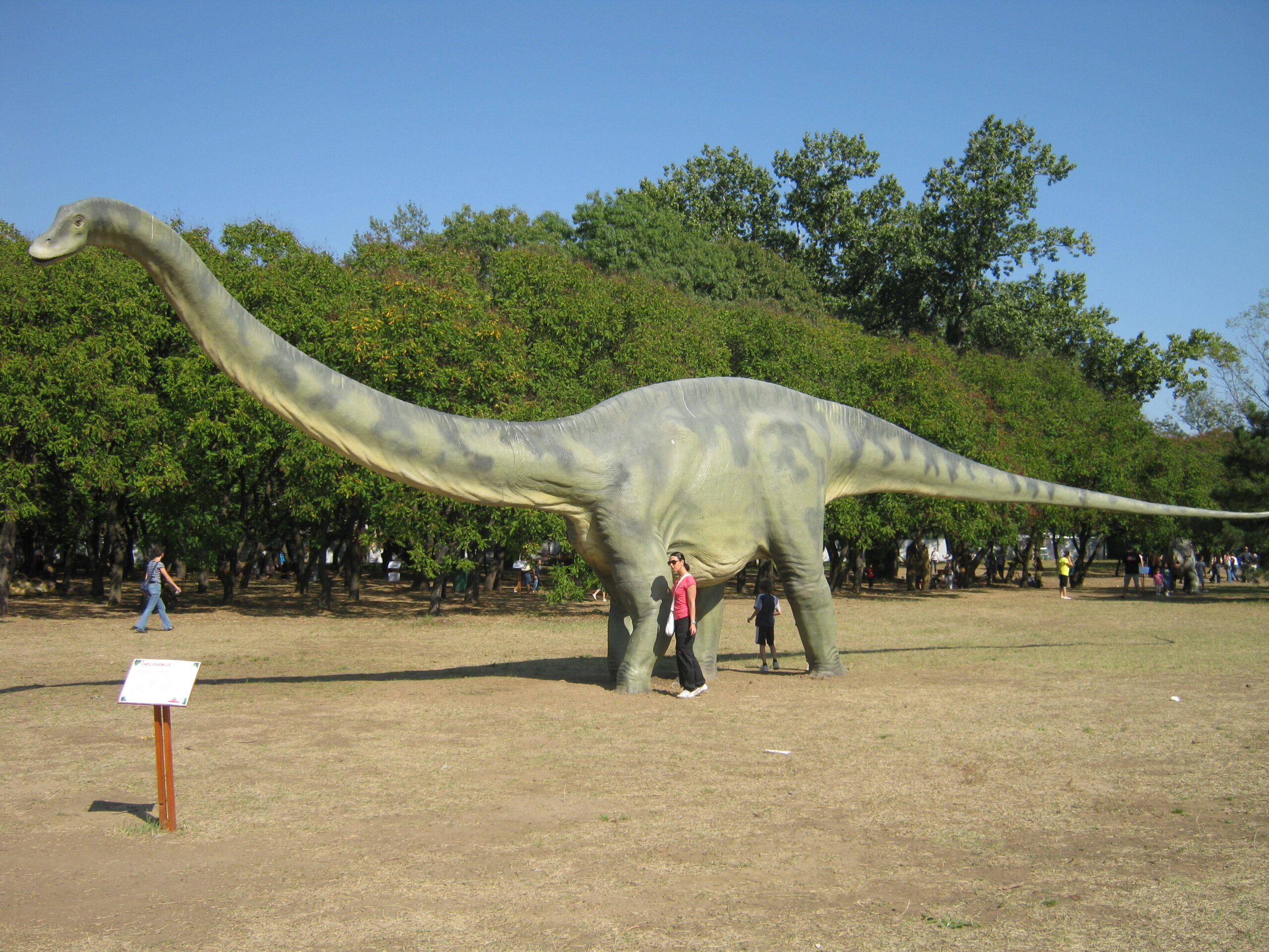 dinosaurios-de-cuello-largo-como-se-llaman-estas-criaturas-prehistoricas