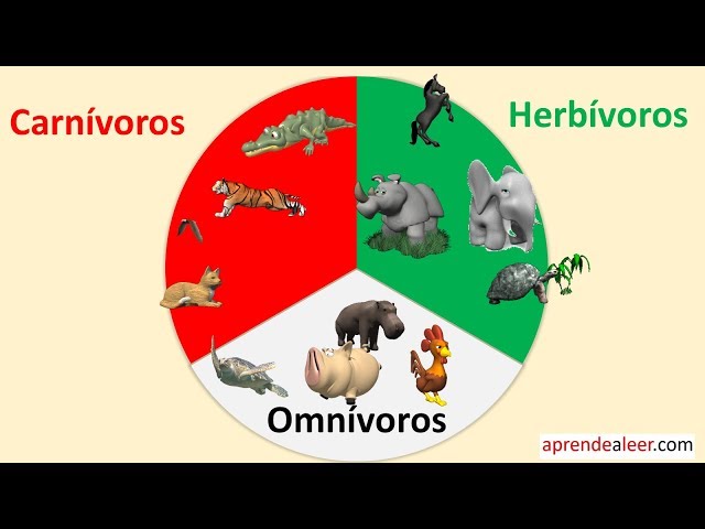 la-ballena-carnivora-herbivora-o-omnivora