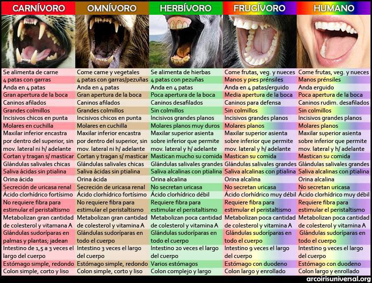 tipos-de-dentadura-segun-cada-especie-de-mamifero