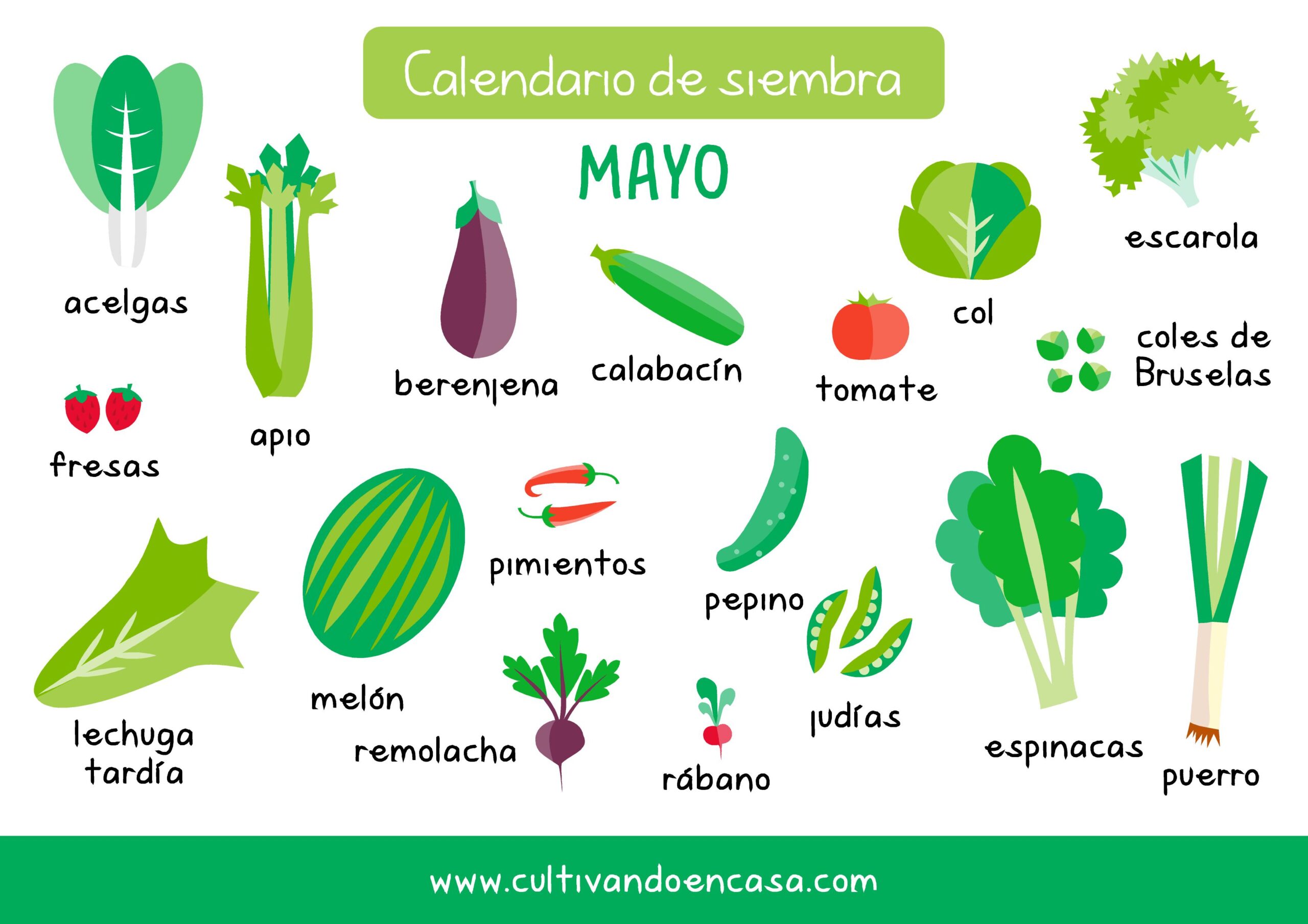 descubre-cuando-se-plantan-las-patatas-en-galicia-un-calendario