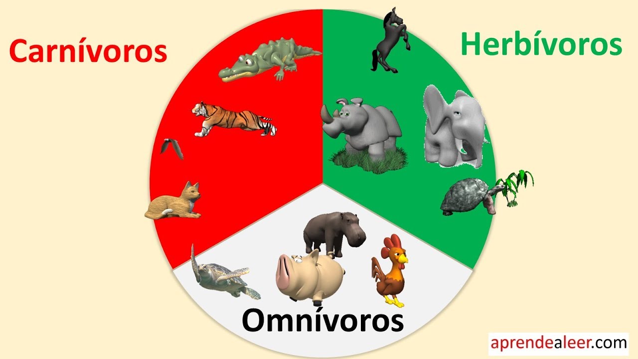 el-raton-carnivoro-herbivoro-o-omnivoro